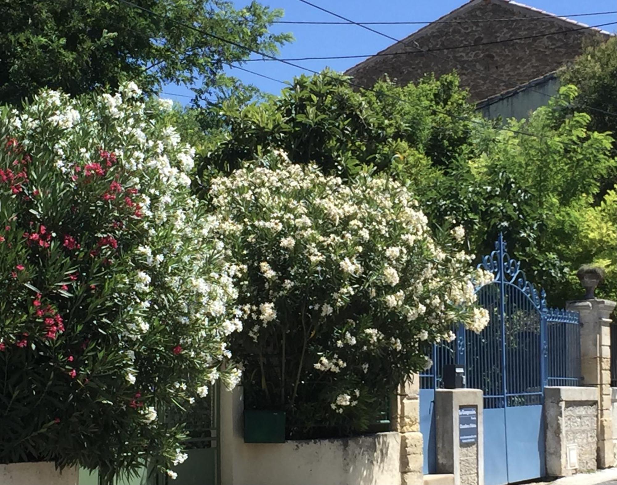 Bed and Breakfast Lo Componaïro Pouzols Exterior foto